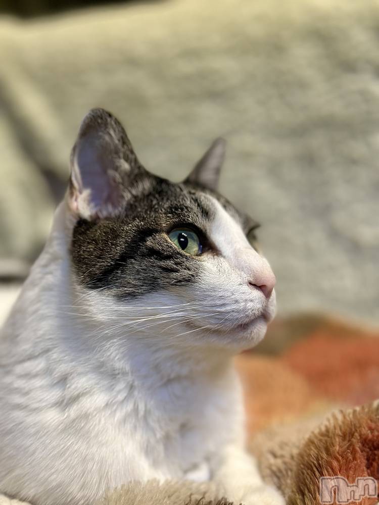 ���ܱ�������Х��顦�����K-LOUNGE(�����饦��) ƣ�� �����1��24���̥�֥����֡�����