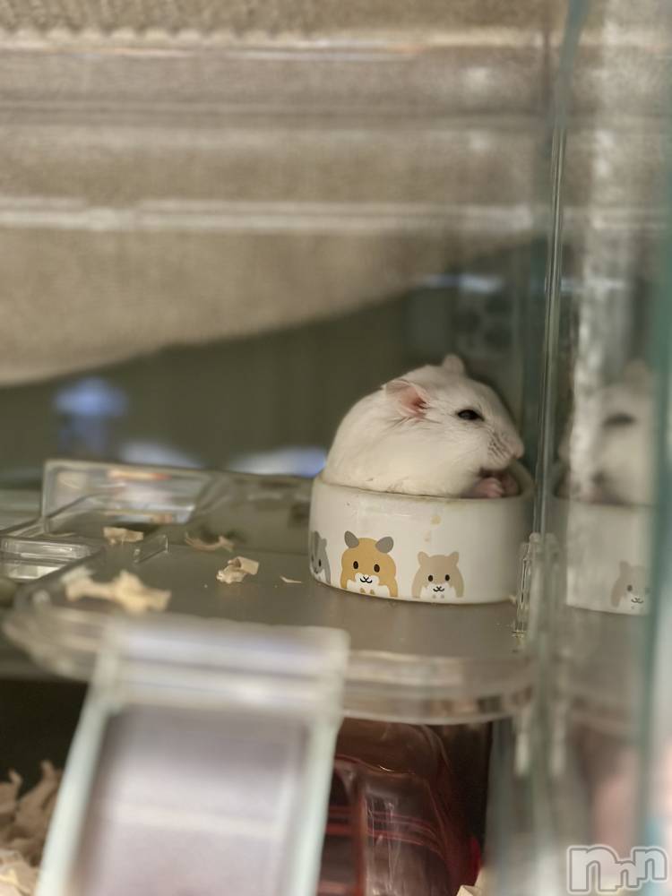 ���ܱ�������Х��顦�����K-LOUNGE(�����饦��) ƣ�� �����1��25���̥�֥����ֺ����Τ������