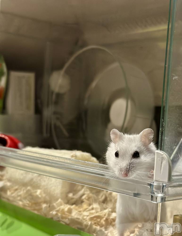 ���ܱ�������Х��顦�����K-LOUNGE(�����饦��) ƣ�� �����1��27���̥�֥����ֺ����Τ������