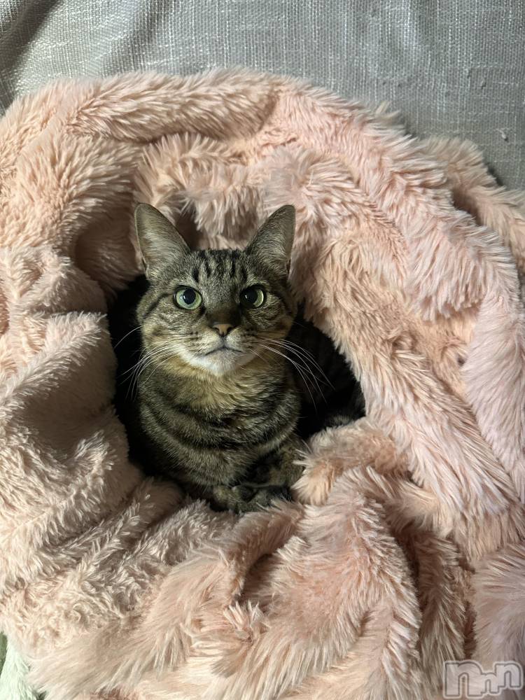 ���ܱ�������Х��顦�����K-LOUNGE(�����饦��) ƣ�� �����1��29���̥�֥���������