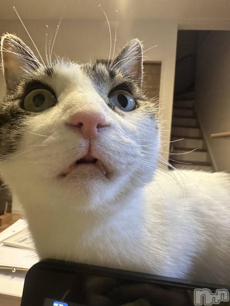 ���ܱ�������Х��顦�����K-LOUNGE(�����饦��) ƣ�� �����2��3���̥�֥����֤ء���