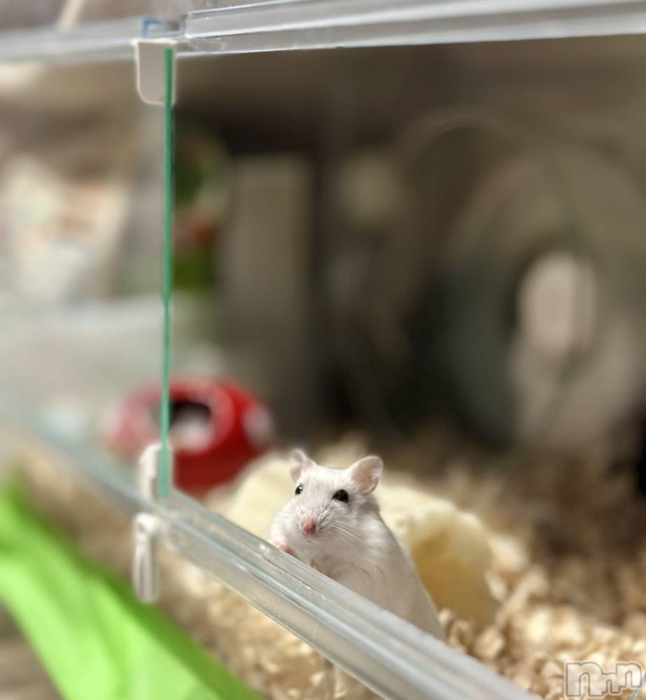 ���ܱ�������Х��顦�����K-LOUNGE(�����饦��) ƣ�� �����2��2���̥�֥����ֺ����Τ������