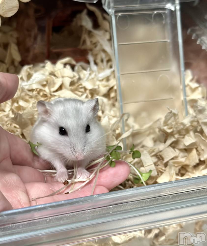 ���ܱ�������Х��顦�����K-LOUNGE(�����饦��) ƣ�� �����2��14���̥�֥����ֺ����Τ������