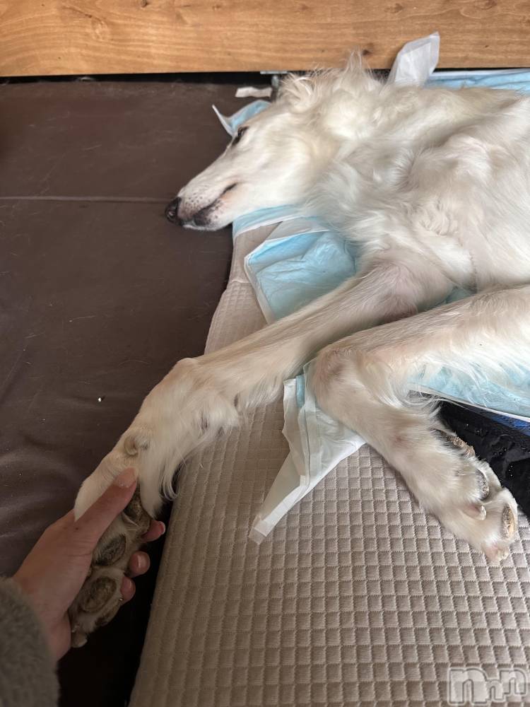 ���ܱ�������Х��顦�����K-LOUNGE(�����饦��) ƣ�� �����2��25���̥�֥����ִ�ĥ�äơ�