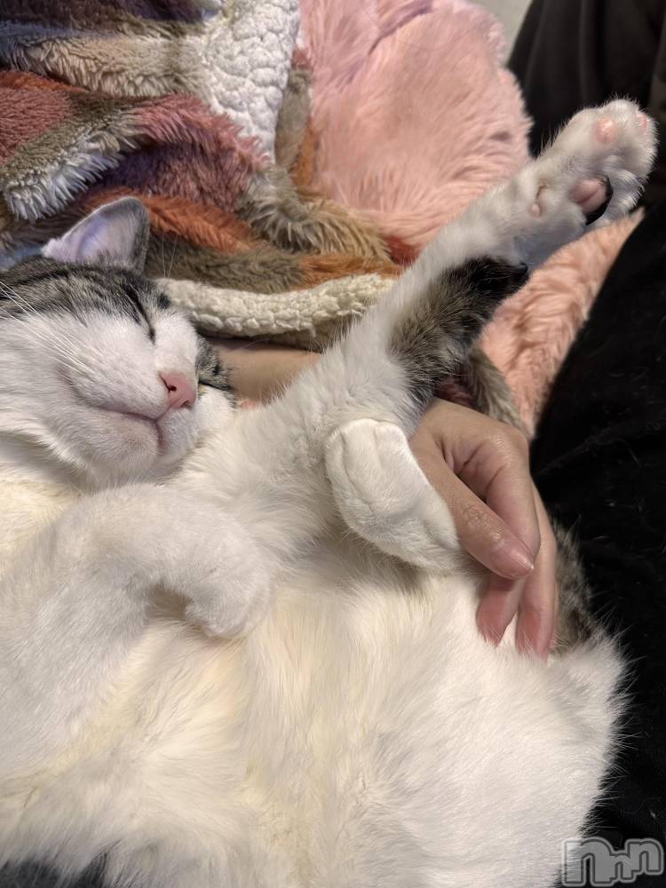 ���ܱ�������Х��顦�����K-LOUNGE(�����饦��) ƣ�� �����2��26���̥�֥����֤ˤ硼�������