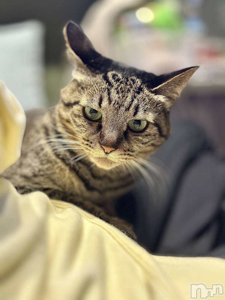 ���ܱ�������Х��顦�����K-LOUNGE(�����饦��) ƣ�� �����2��28���̥�֥����֡���