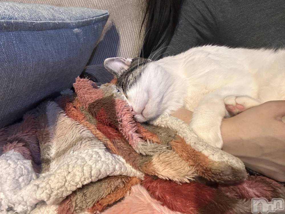 ���ܱ�������Х��顦�����K-LOUNGE(�����饦��) ƣ�� �����3��1���̥�֥�����ή������Ƥ����