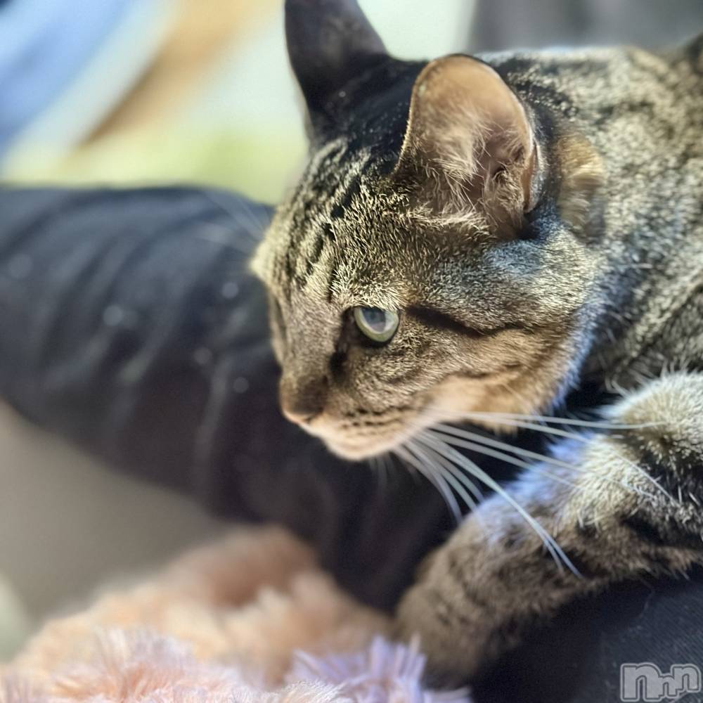 ���ܱ�������Х��顦�����K-LOUNGE(�����饦��) ƣ�� �����3��2���̥�֥����֤ۤ���