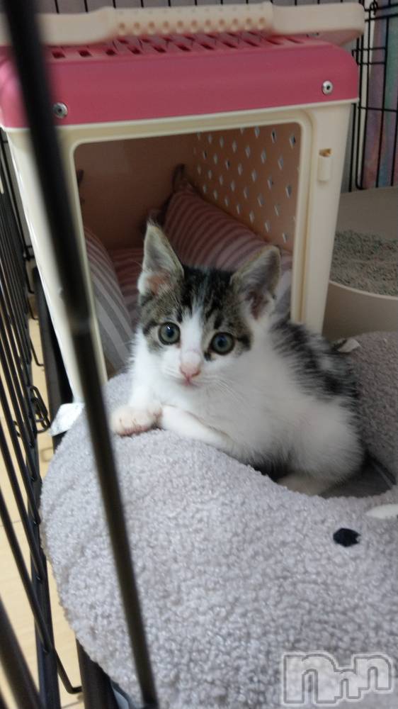 ���ܱ�������Х��顦�����K-LOUNGE(�����饦��) ƣ�� �����3��4���̥�֥����֤��餡����