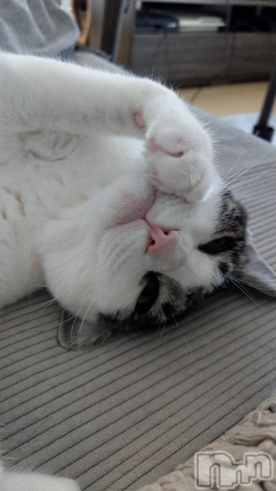 ���ܱ�������Х��顦�����K-LOUNGE(�����饦��) ƣ�� �����3��11���̥�֥�����������