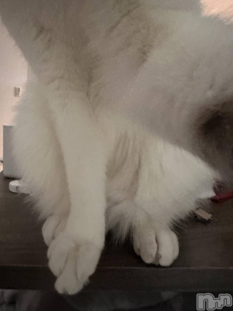 ���ܱ�������Х��顦�����K-LOUNGE(�����饦��) ƣ�� �����3��16���̥�֥�����ᗢᘏᓗ��