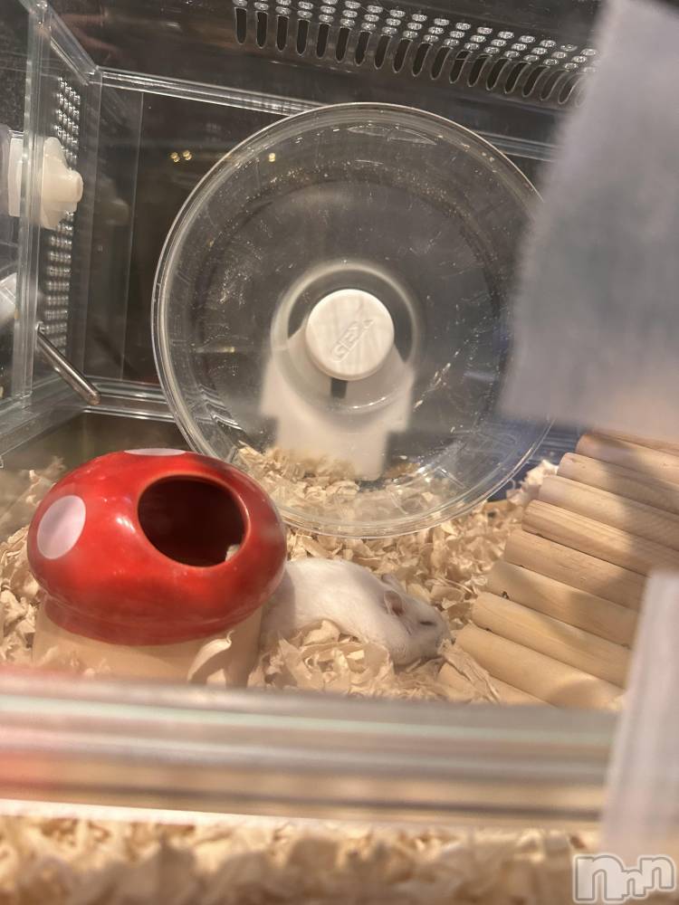 ���ܱ�������Х��顦�����K-LOUNGE(�����饦��) ƣ�� �����3��17���̥�֥����ֺ����Τ������