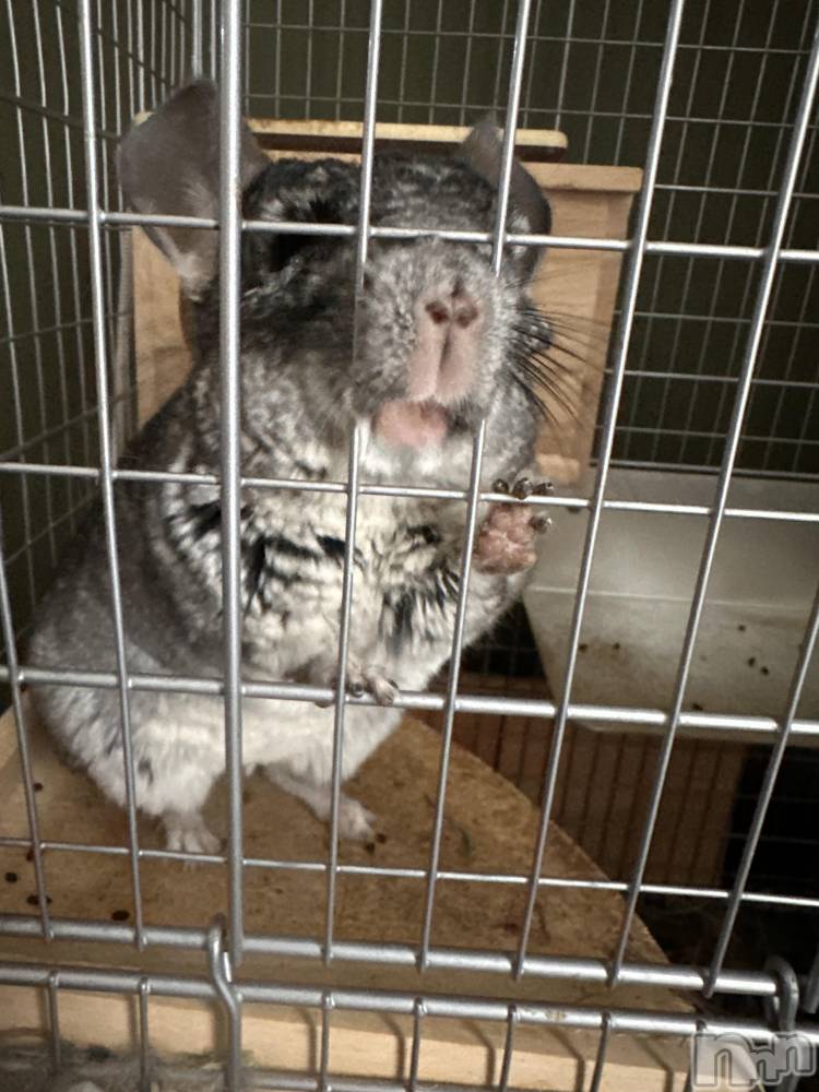 ���ܱ�������Х��顦�����K-LOUNGE(�����饦��) ƣ�� �����3��17���̥�֥����֤֤ˤá�