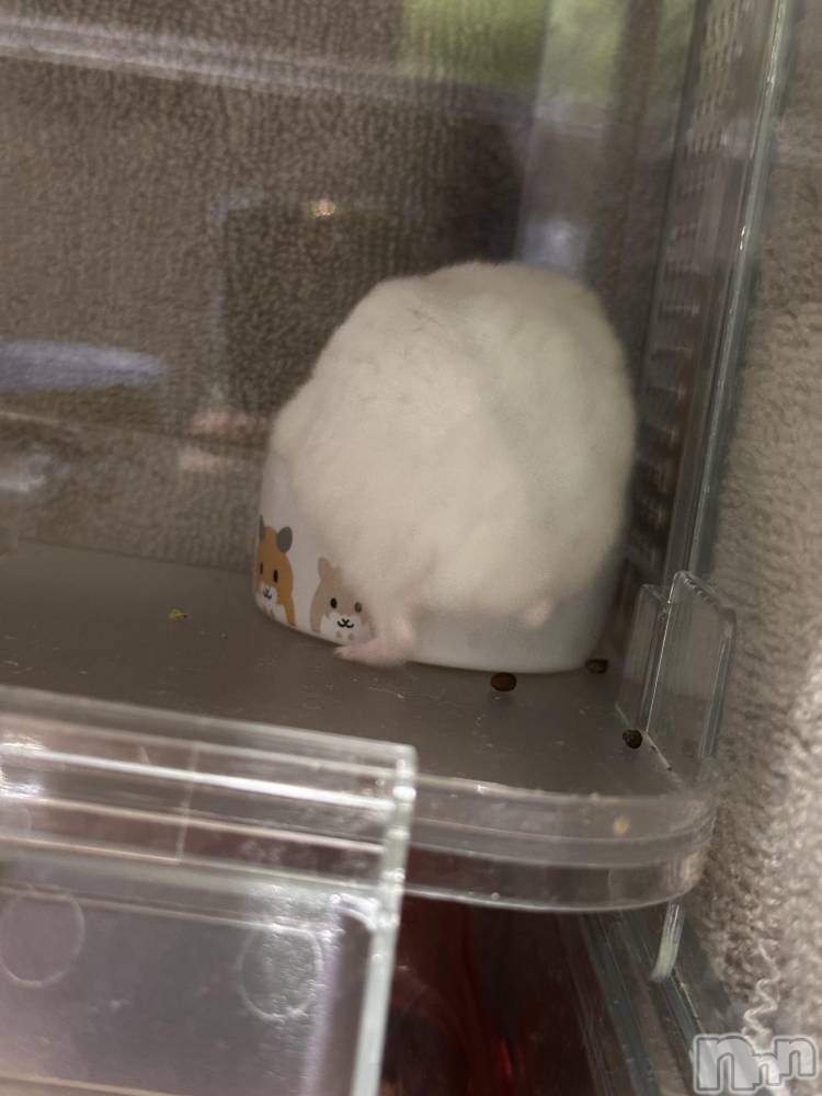 ���ܱ�������Х��顦�����K-LOUNGE(�����饦��) ƣ�� �����3��20���̥�֥����ֺ����Τ������