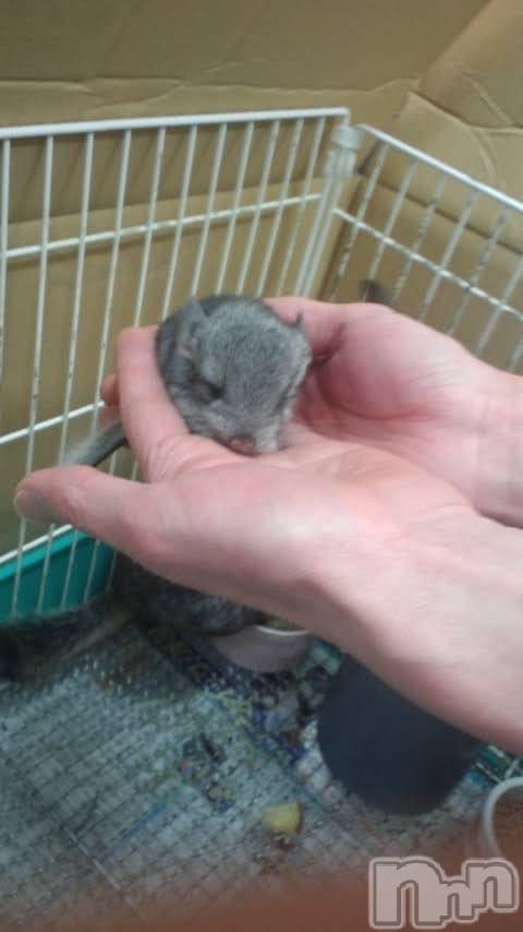 ���ܱ�������Х��顦�����K-LOUNGE(�����饦��) ƣ�� �����3��30���̥�֥����֤ߤƤߤơ�