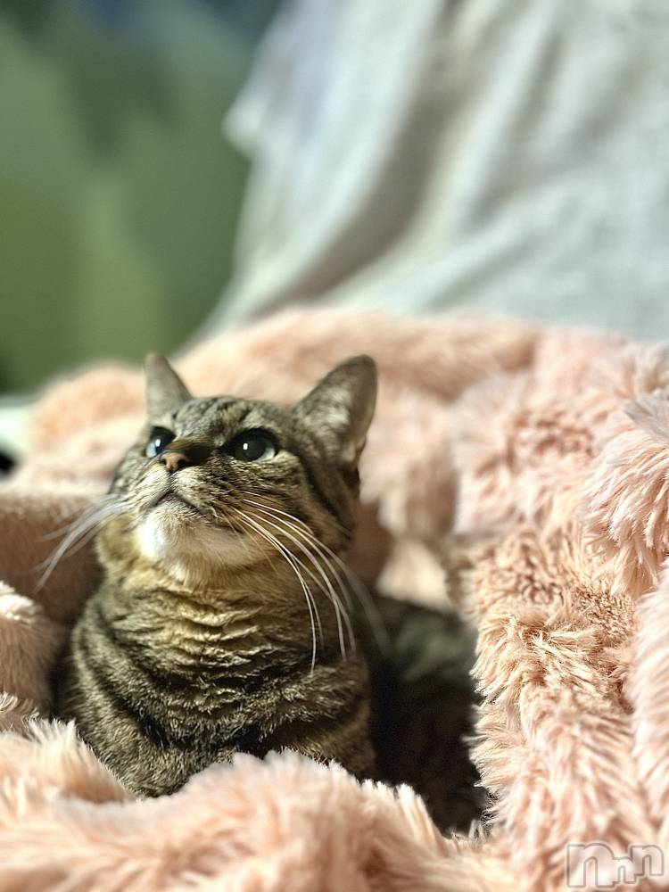 ���ܱ�������Х��顦�����K-LOUNGE(�����饦��) ƣ�� �����4��2���̥�֥����֥�ޡ�������