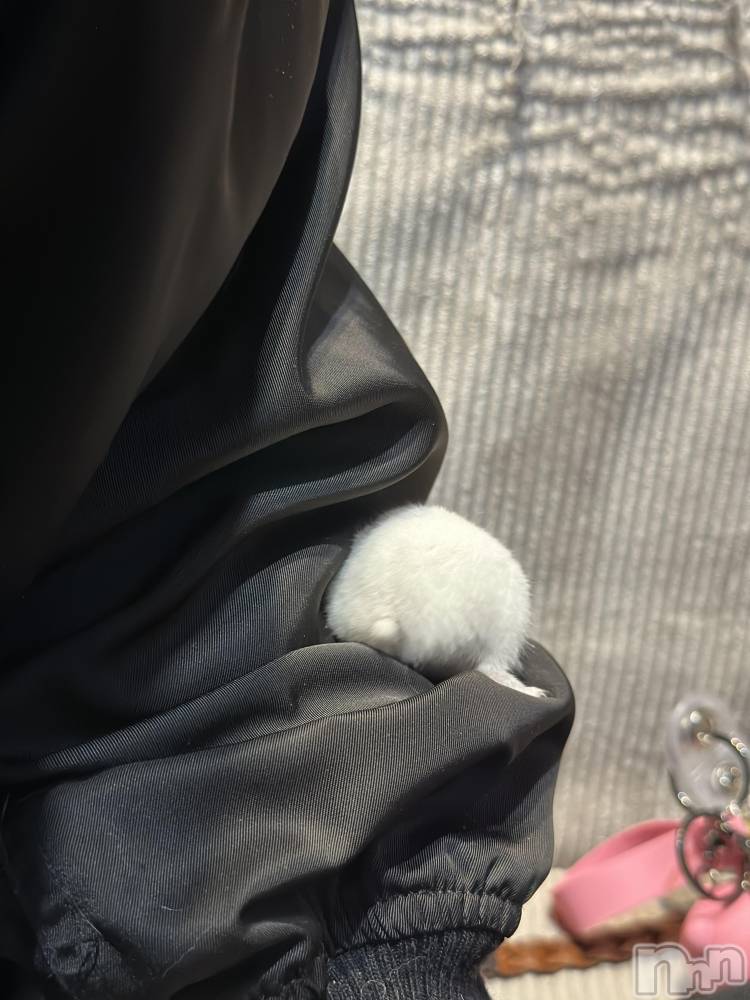 ���ܱ�������Х��顦�����K-LOUNGE(�����饦��) ƣ�� �����4��4���̥�֥����֥ϥॱ�ġ���������