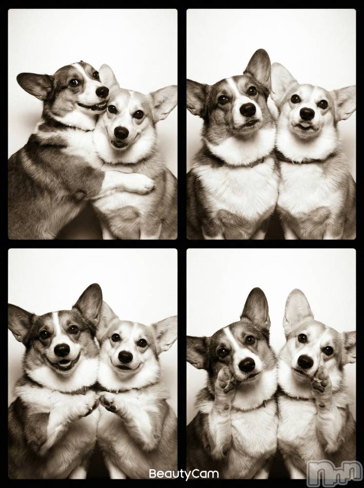 ���ܱ�������Х��顦�����K-LOUNGE(�����饦��) ƣ�� �����4��4���̥�֥����ֵ㤱���