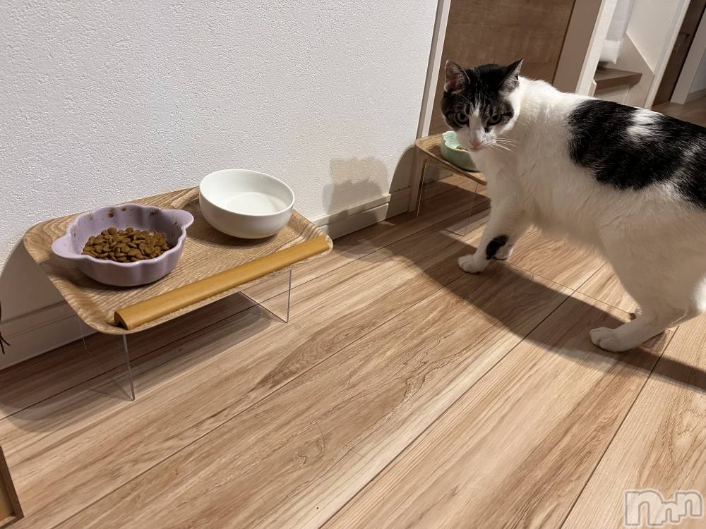 ���ܱ�������Х��顦�����K-LOUNGE(�����饦��) ƣ�� �����4��8���̥�֥����ֺ�ä���