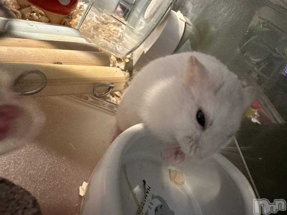 ���ܱ�������Х��顦�����K-LOUNGE(�����饦��) ƣ�� �����4��15���̥�֥����ֺ����Τ������