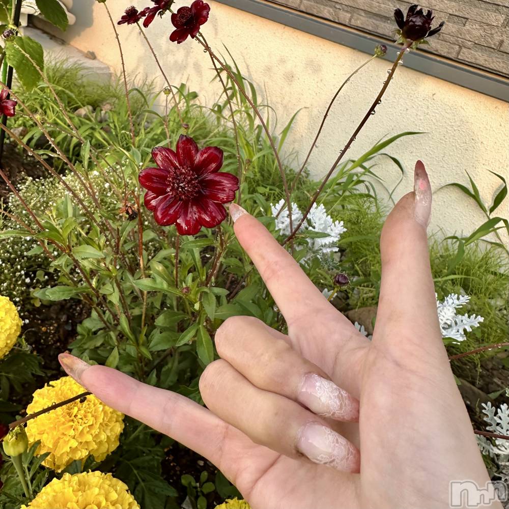 ���ܱ�������Х��顦�����K-LOUNGE(�����饦��) ƣ�� �����7��17���̥�֥�����🤟��
