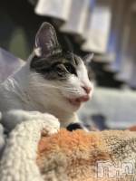 ܱХ顦K-LOUNGE(饦) ƣ (36)114̥֥֥쥪