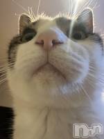 ܱХ顦K-LOUNGE(饦) ƣ (36)113̥֥֤ޤޤ