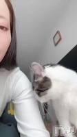 �ҤȤꤴ��