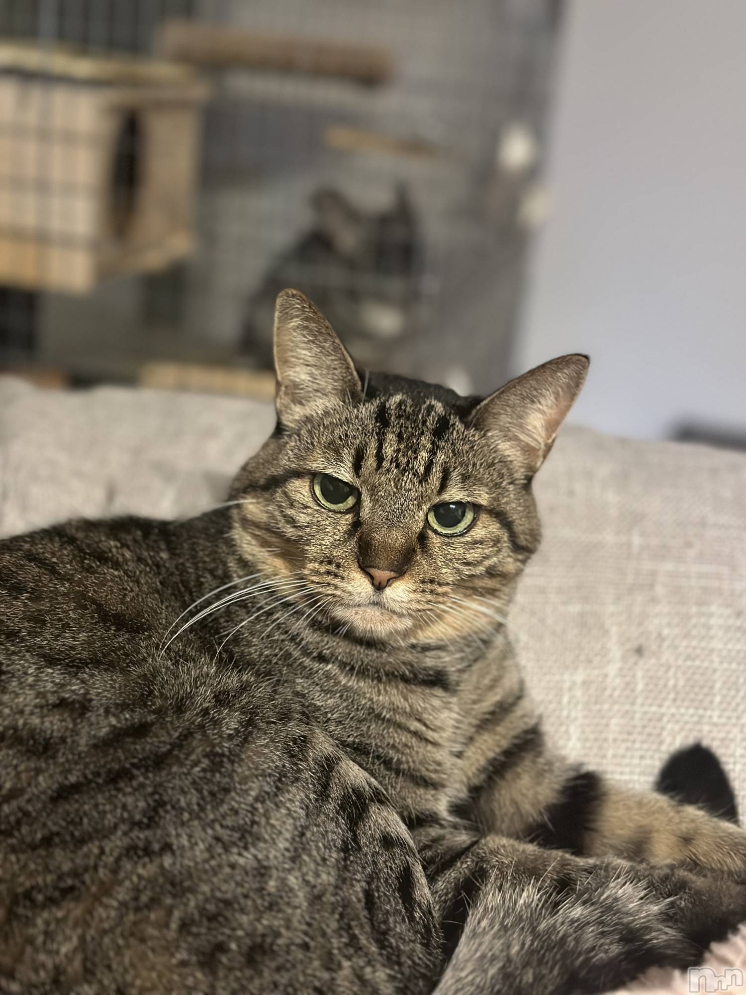 ܱХ顦K-LOUNGE(饦) 2025ǯ115̥֥֤ߡȡ