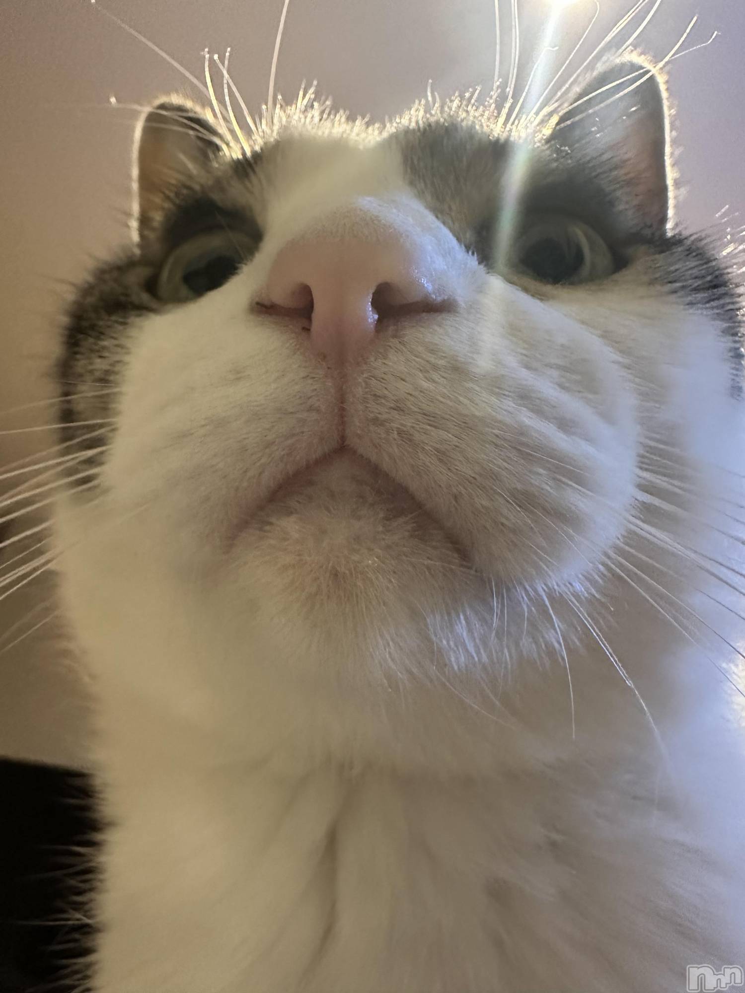 ܱХ顦K-LOUNGE(饦) 2025ǯ113̥֥֤ޤޤ