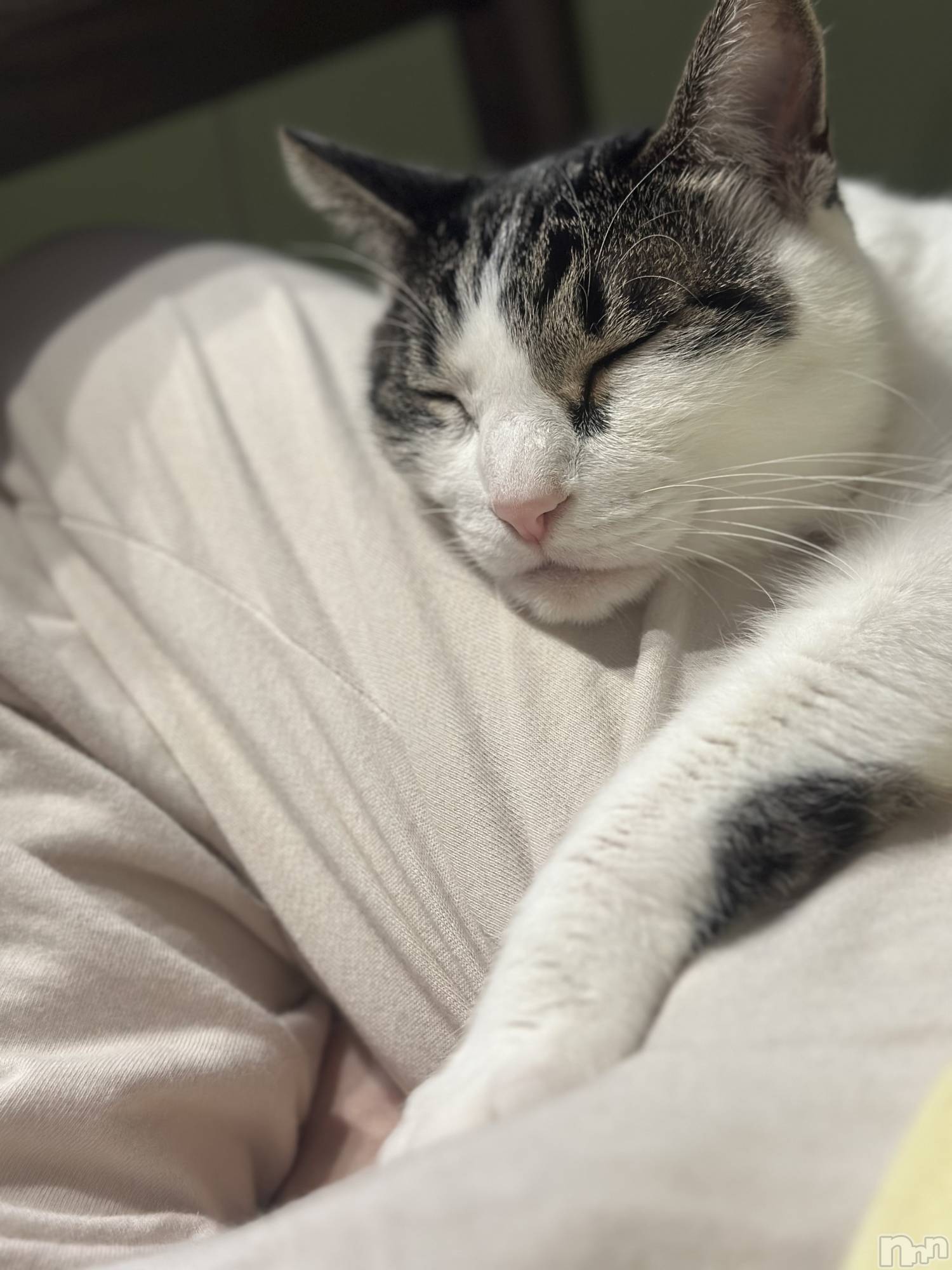 ܱХ顦K-LOUNGE(饦) 2025ǯ1116̥֥֤С