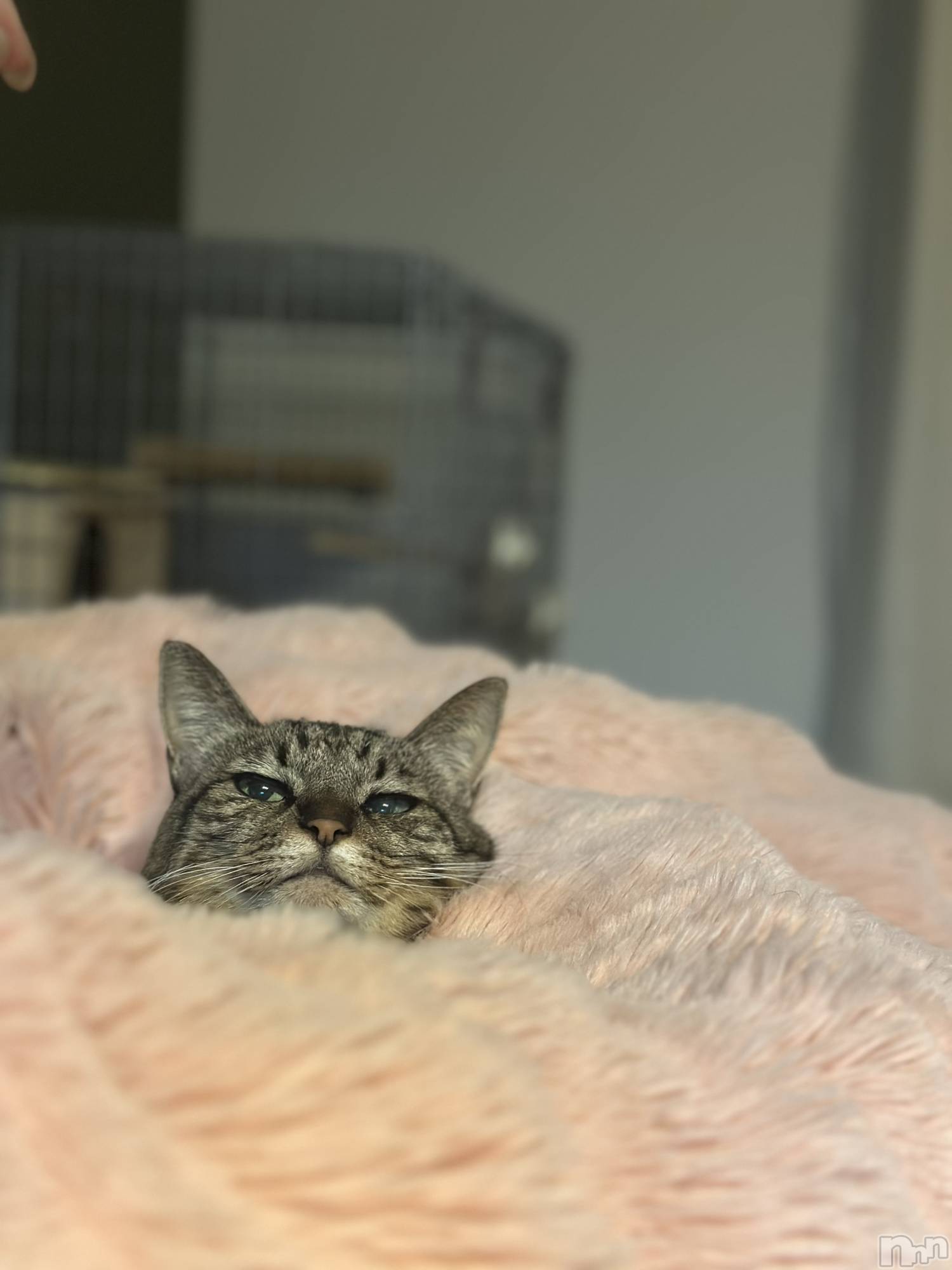 ܱХ顦K-LOUNGE(饦) 2025ǯ1128̥֥֤դá