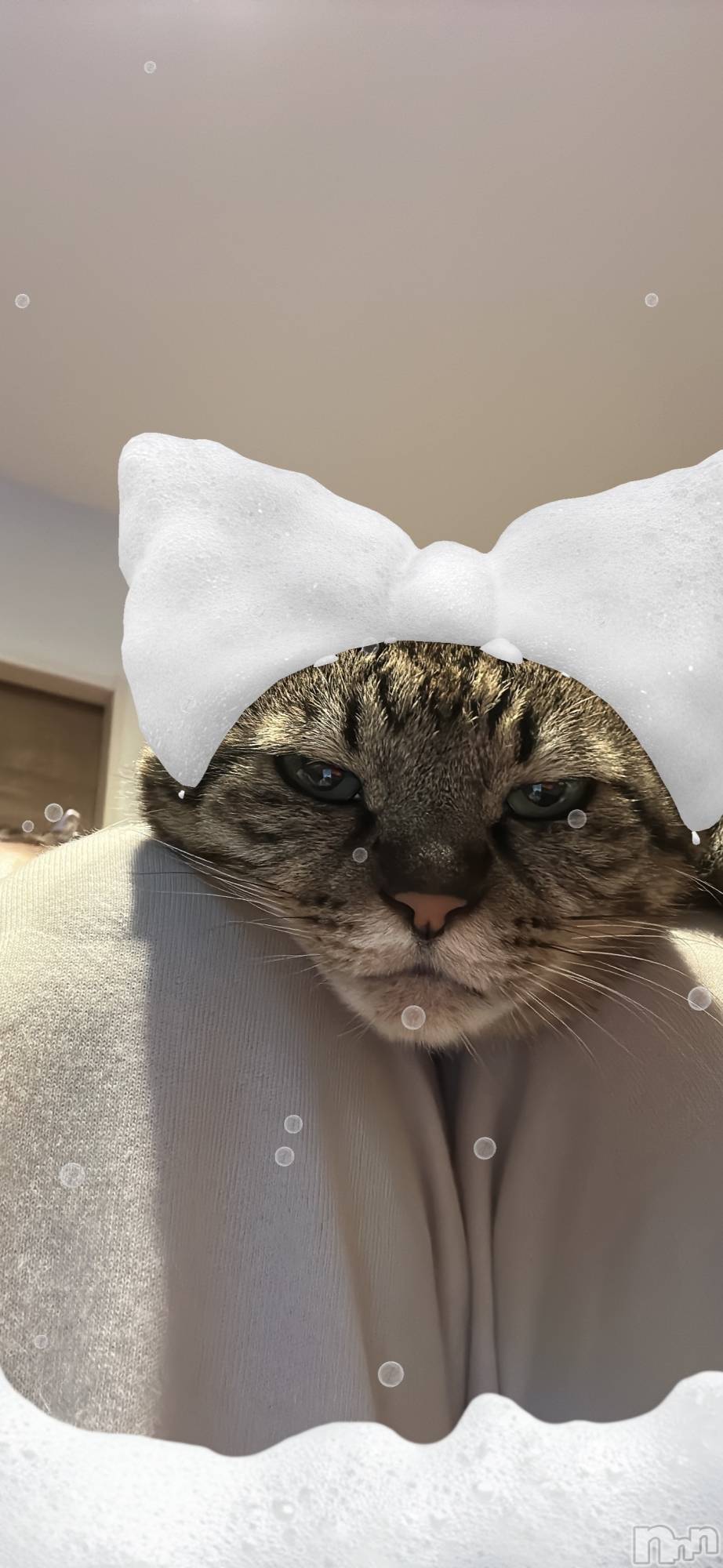 ܱХ顦K-LOUNGE(饦) 2025ǯ121̥֥֤हá