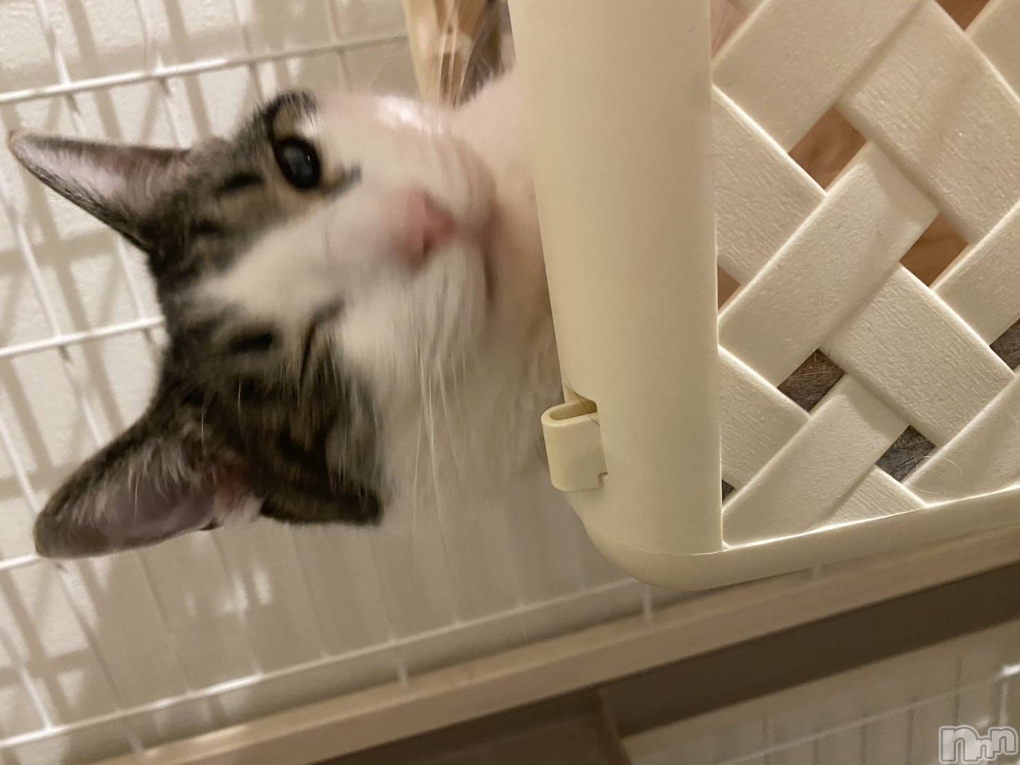 ܱХ顦K-LOUNGE(饦) 2025ǯ122̥֥֤Ѥá