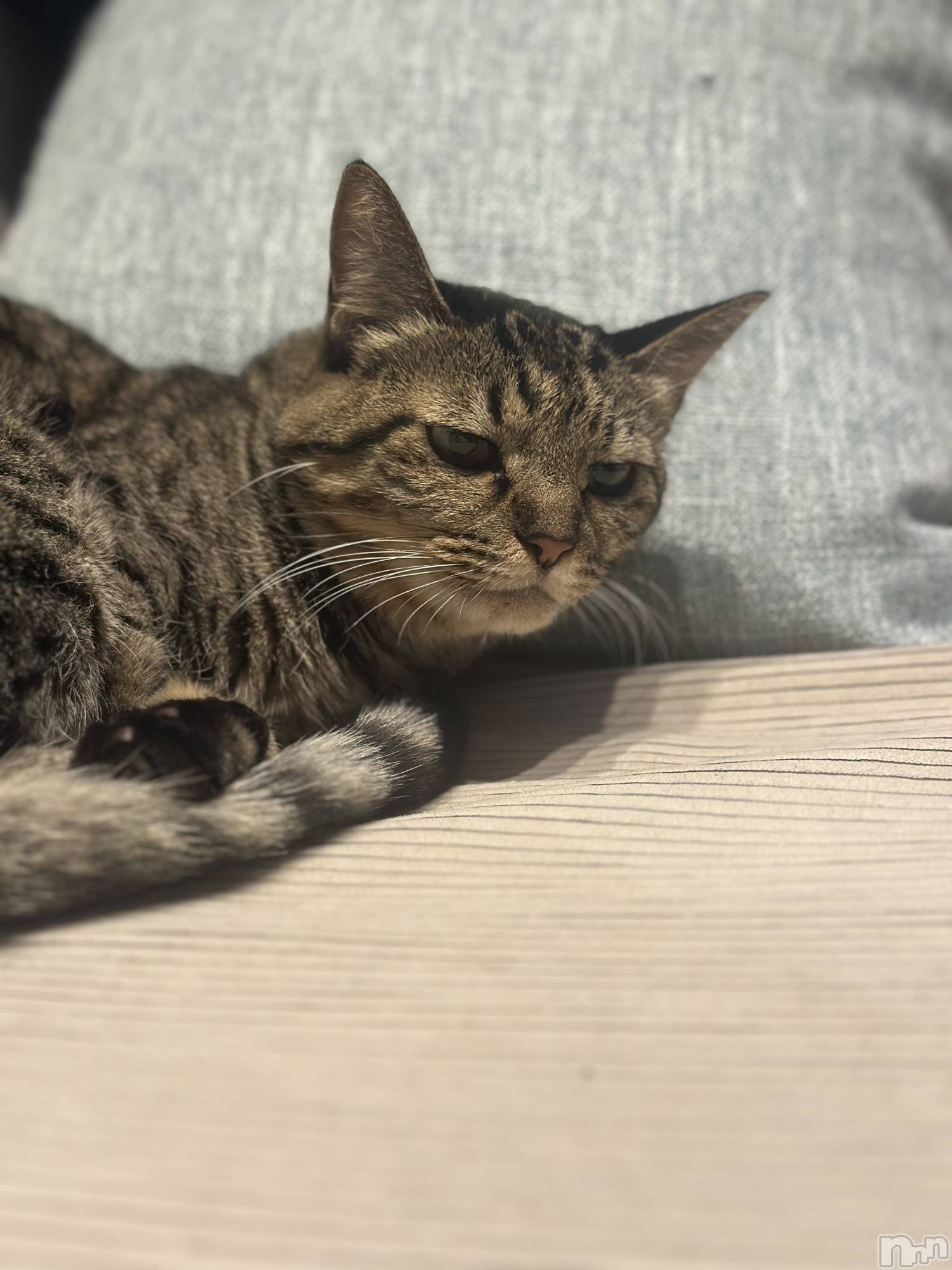 ���ܱ�������Х��顦�����K-LOUNGE(�����饦��) ��2025ǯ12��13���̥�֥����ֵ٤�ĺ���Ƥ��ޤ���