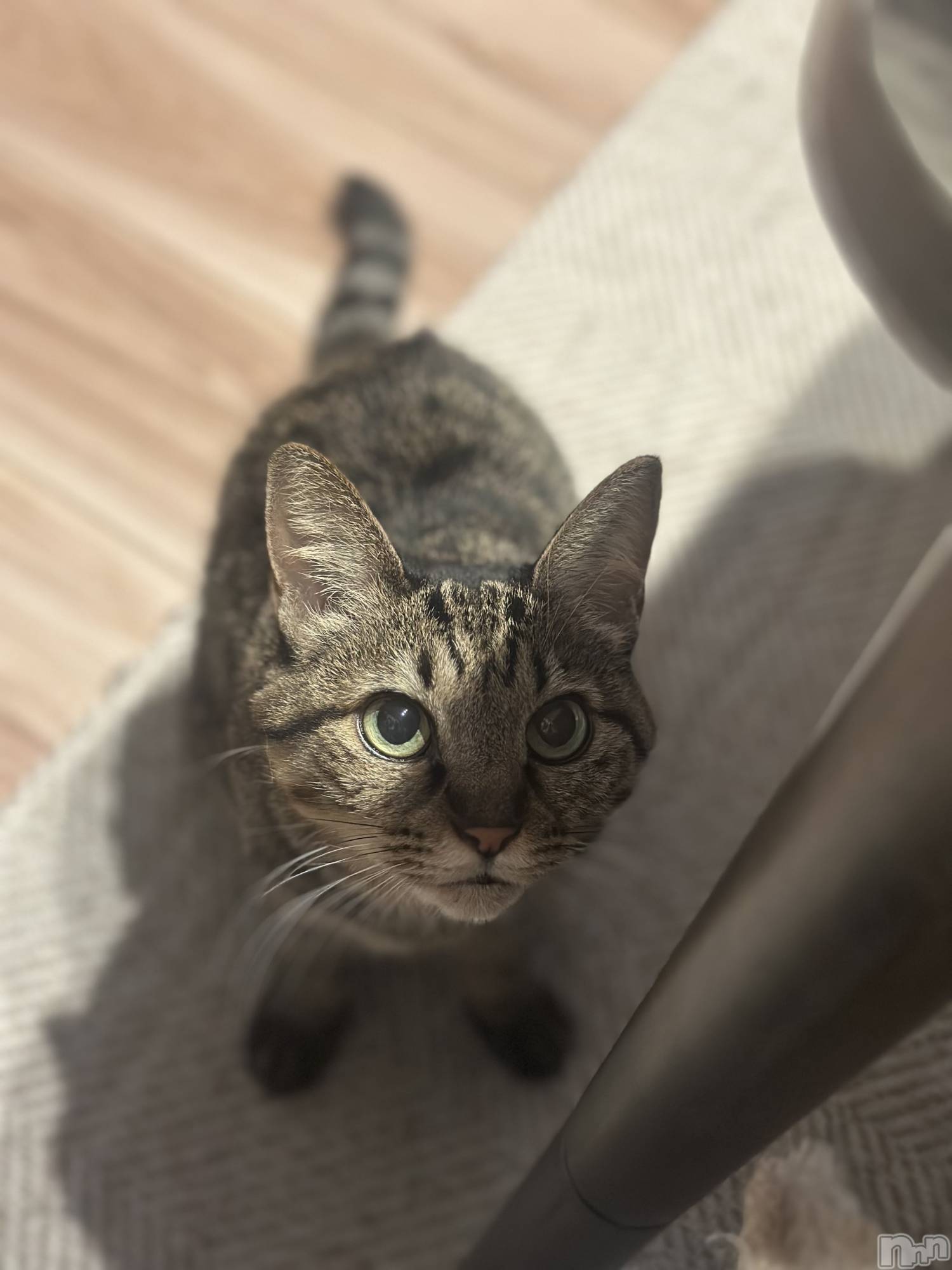 ���ܱ�������Х��顦�����K-LOUNGE(�����饦��) ��2025ǯ12��14���̥�֥����֤��áġ�