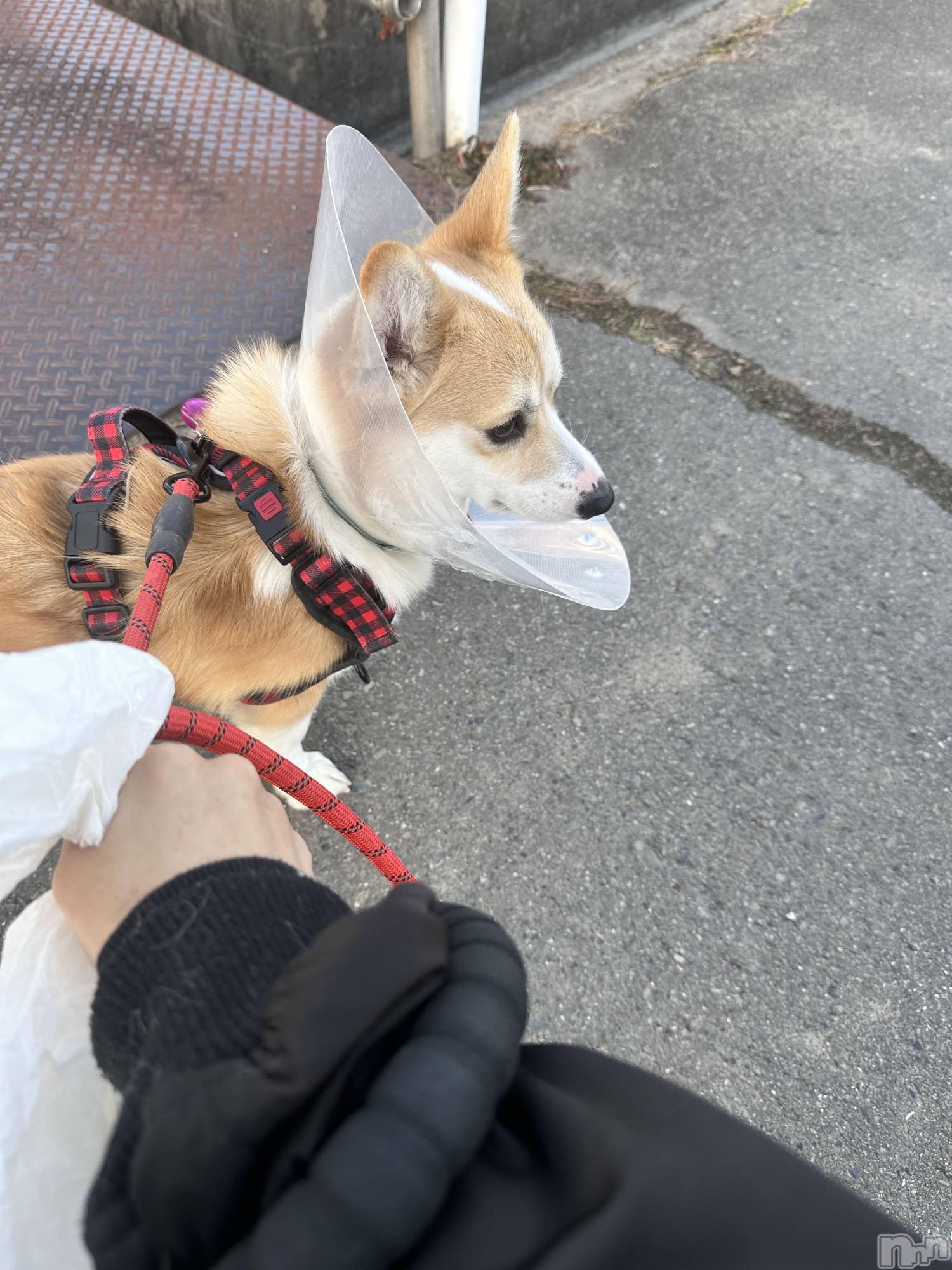 ܱХ顦K-LOUNGE(饦) 2025ǯ122ֵ̥֥٤ߤǤ