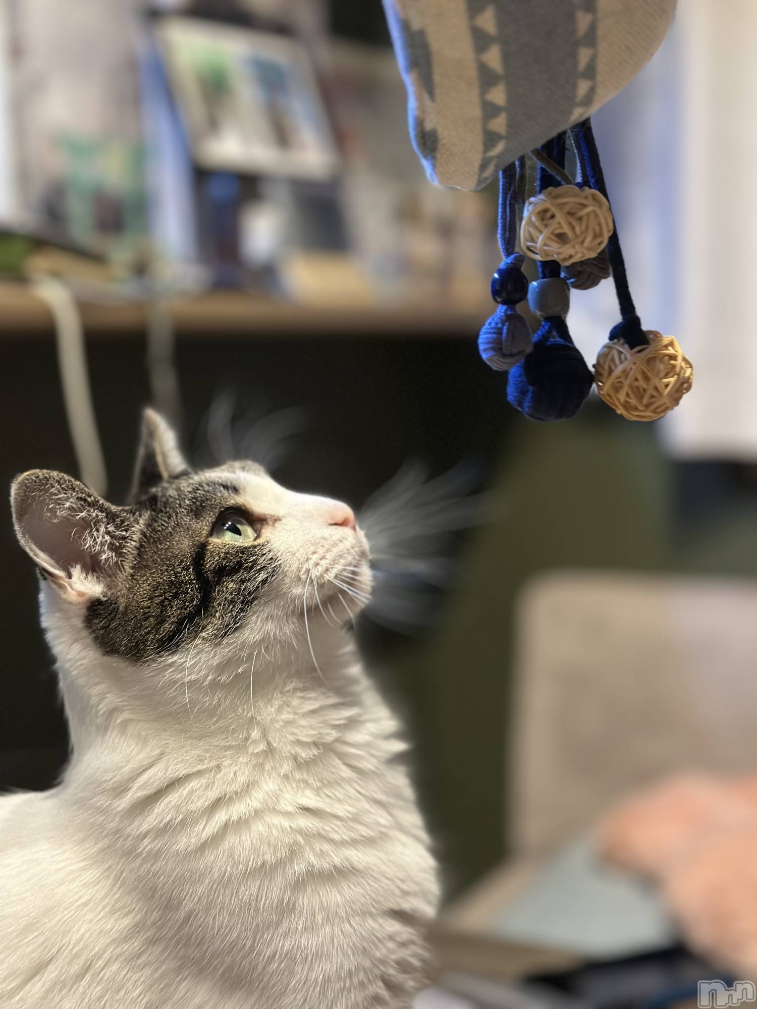 ܱХ顦K-LOUNGE(饦) 2025ǯ125ֵ̥֥٤ߤǤ