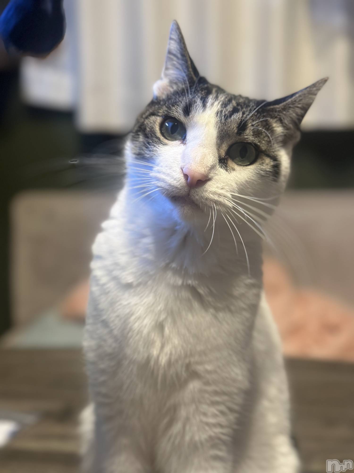 ���ܱ�������Х��顦�����K-LOUNGE(�����饦��) ��2025ǯ12��15���̥�֥��������ӡ�