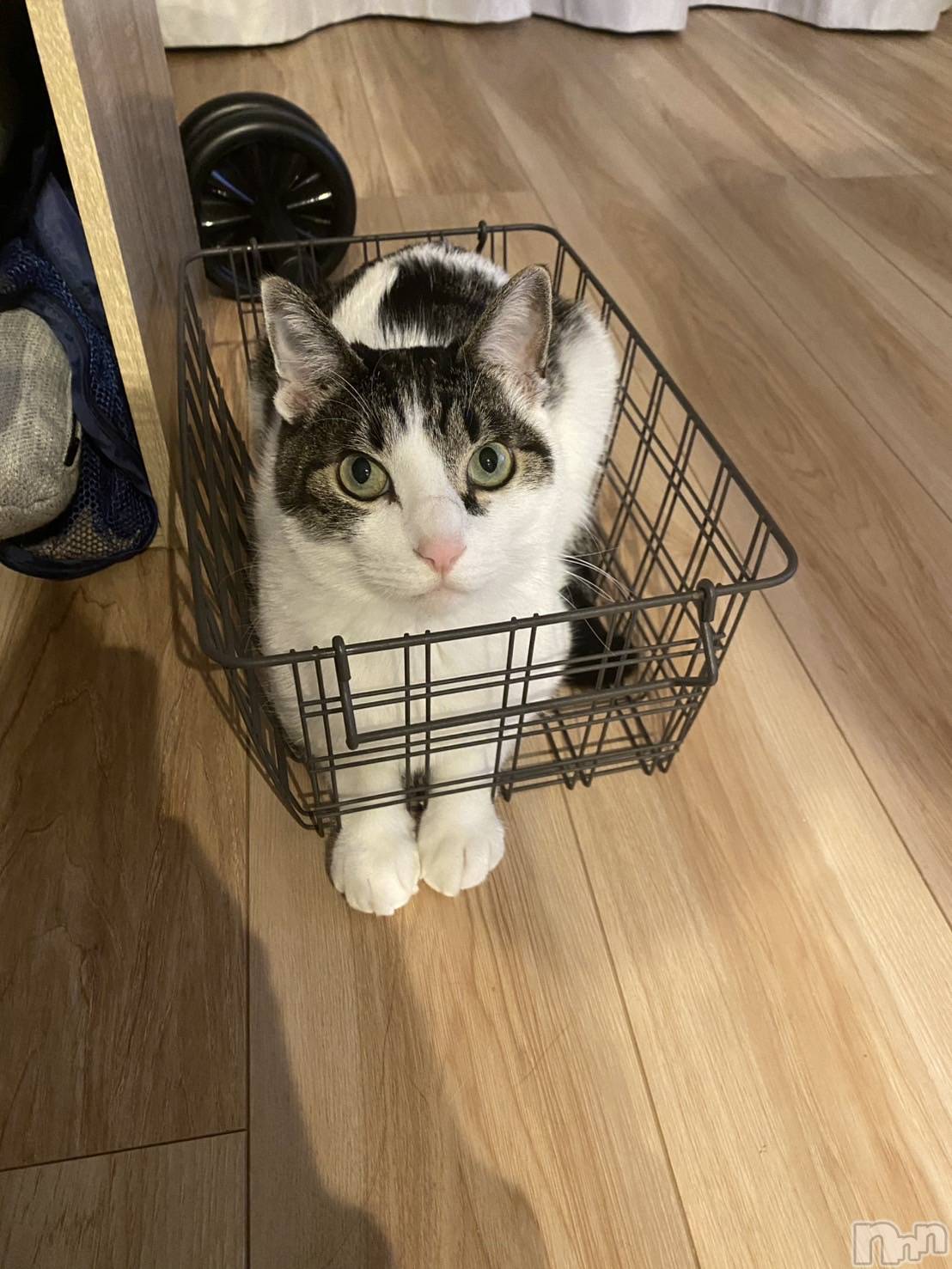 ���ܱ�������Х��顦�����K-LOUNGE(�����饦��) ��2025ǯ12��17���̥�֥����֤ʤ������ˡ�