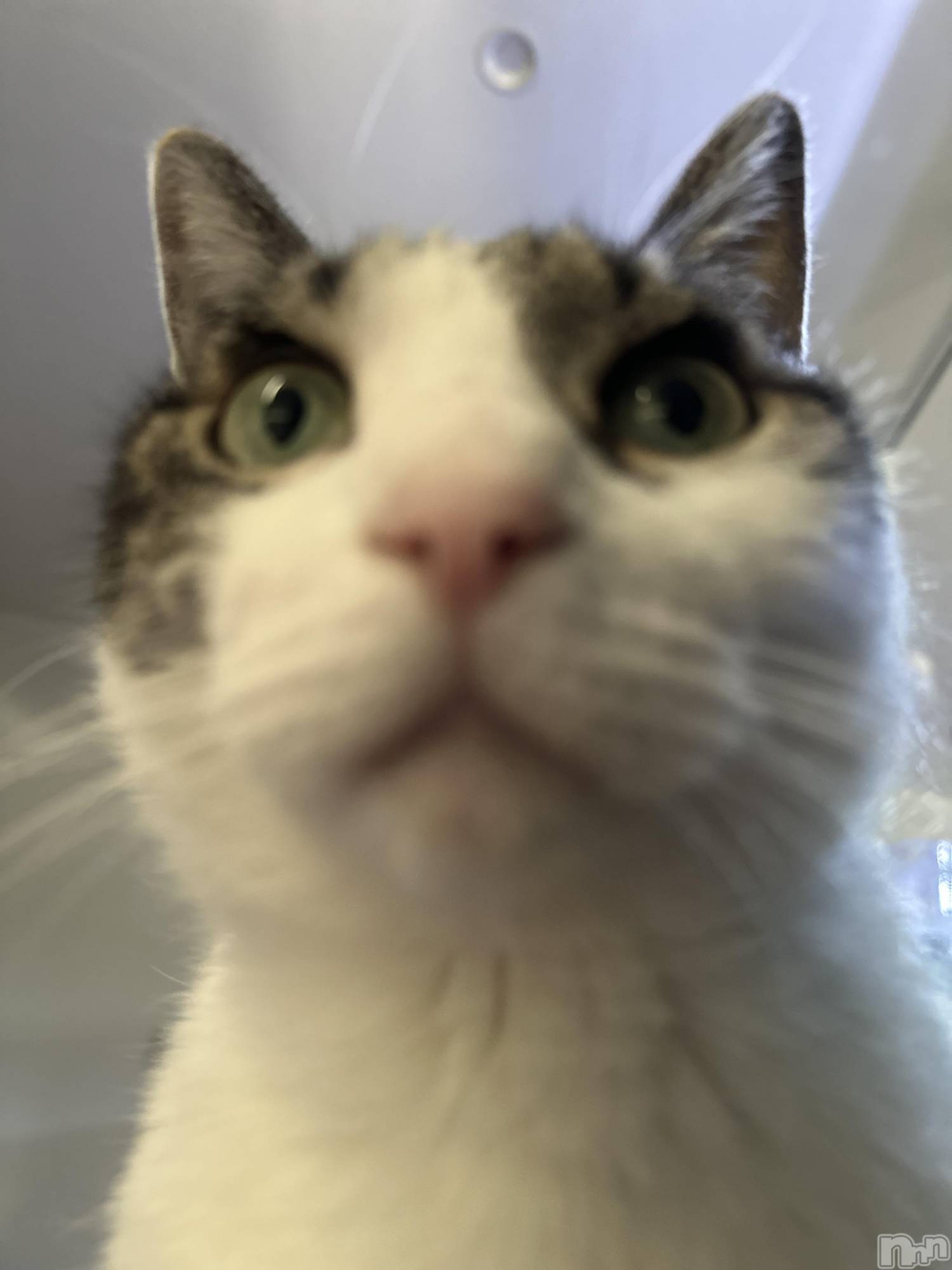 ���ܱ�������Х��顦�����K-LOUNGE(�����饦��) ��2025ǯ12��17���̥�֥����֡���