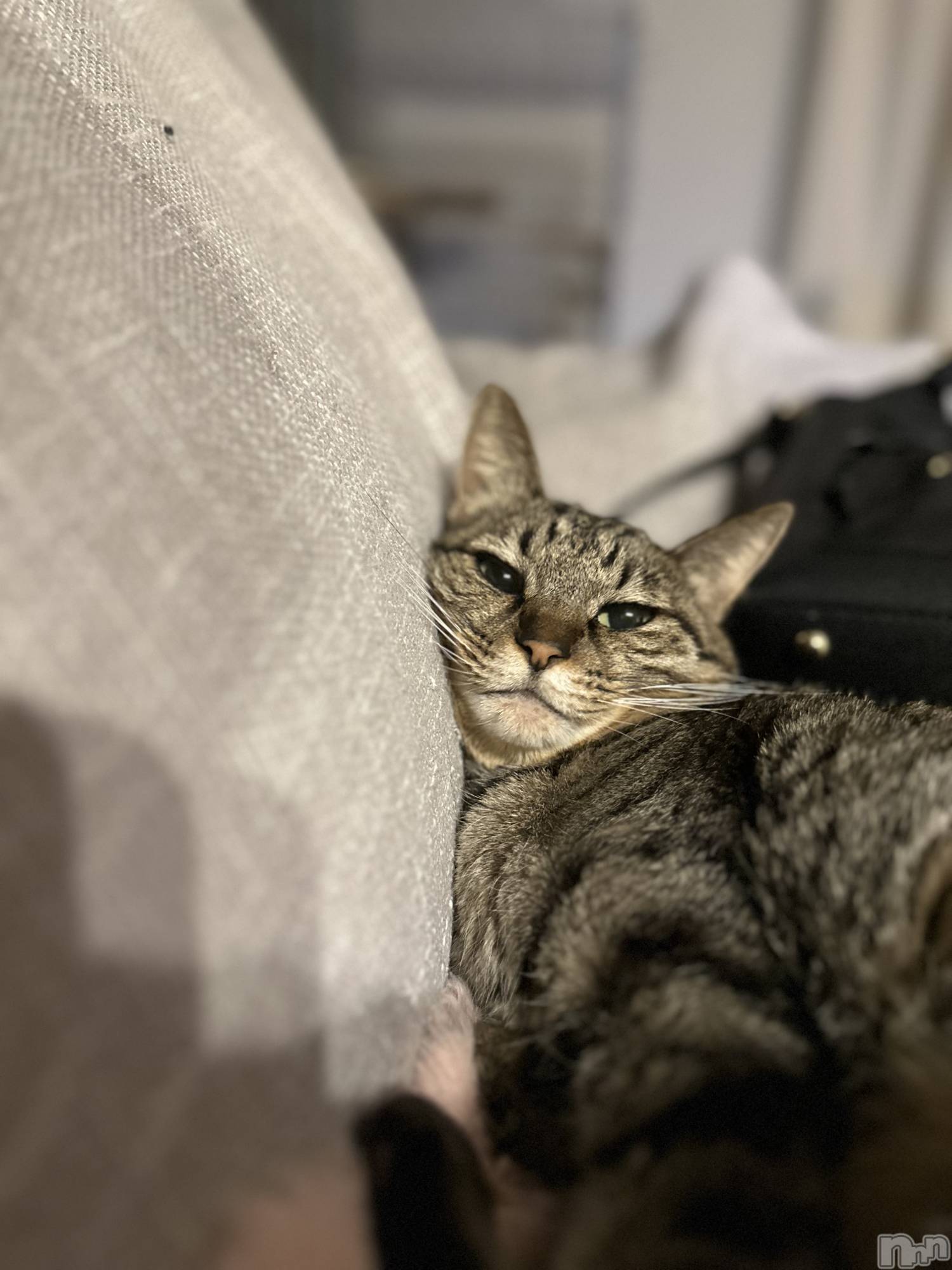 ���ܱ�������Х��顦�����K-LOUNGE(�����饦��) ��2025ǯ12��22���̥�֥�����̲��