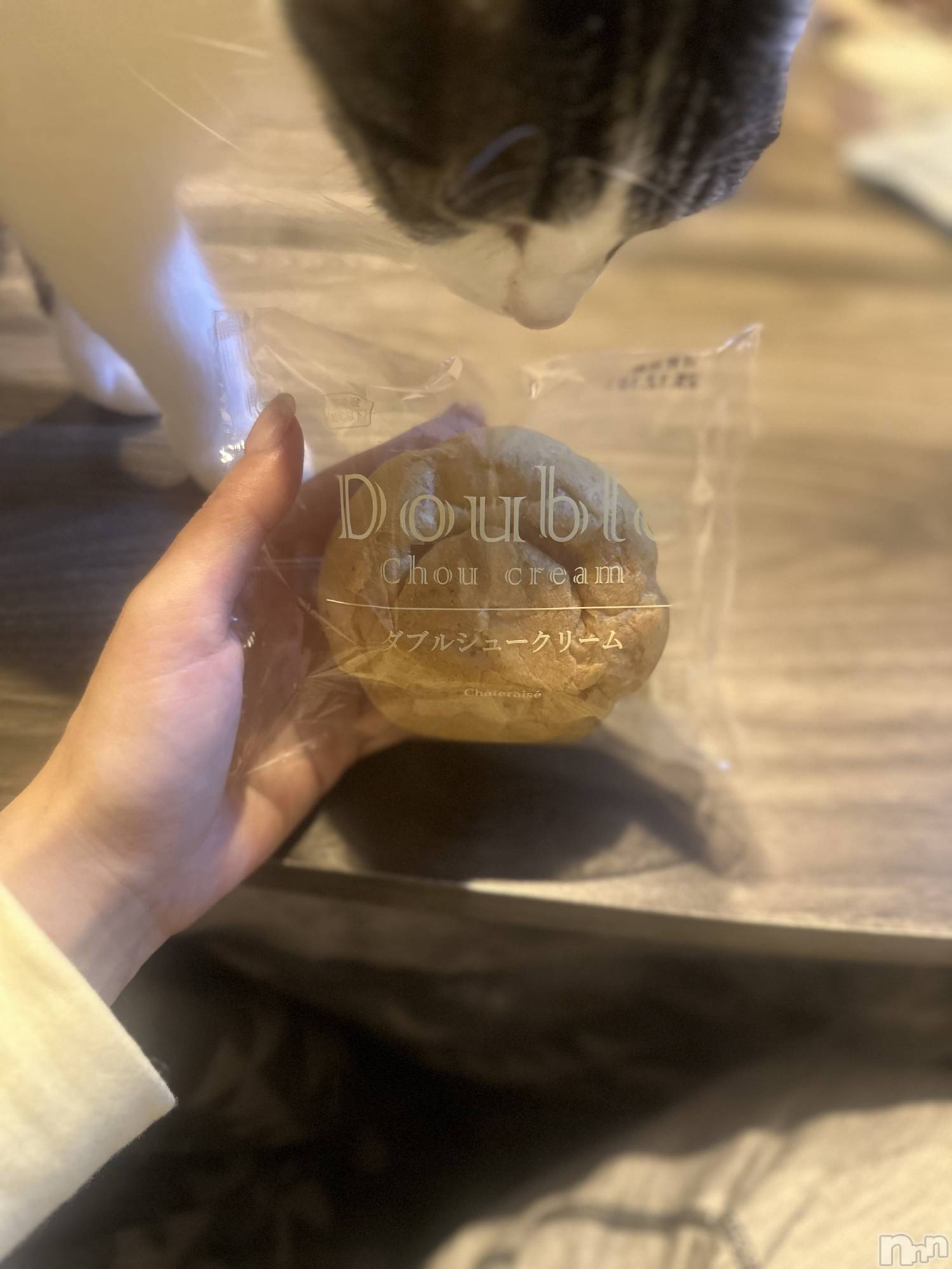 ���ܱ�������Х��顦�����K-LOUNGE(�����饦��) ��2025ǯ12��23���̥�֥����֤Ϥ���ơ�