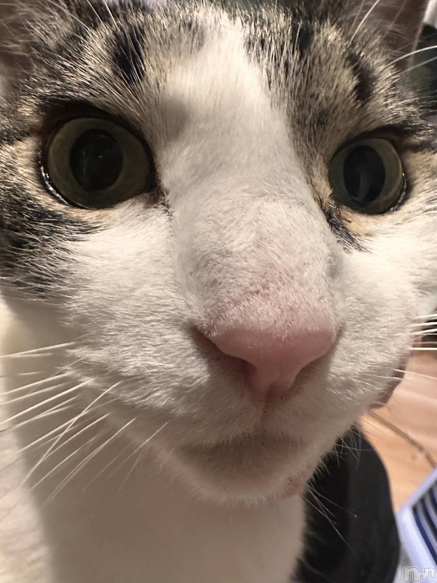 ���ܱ�������Х��顦�����K-LOUNGE(�����饦��) ��2025ǯ12��30���̥�֥����֤��餢��