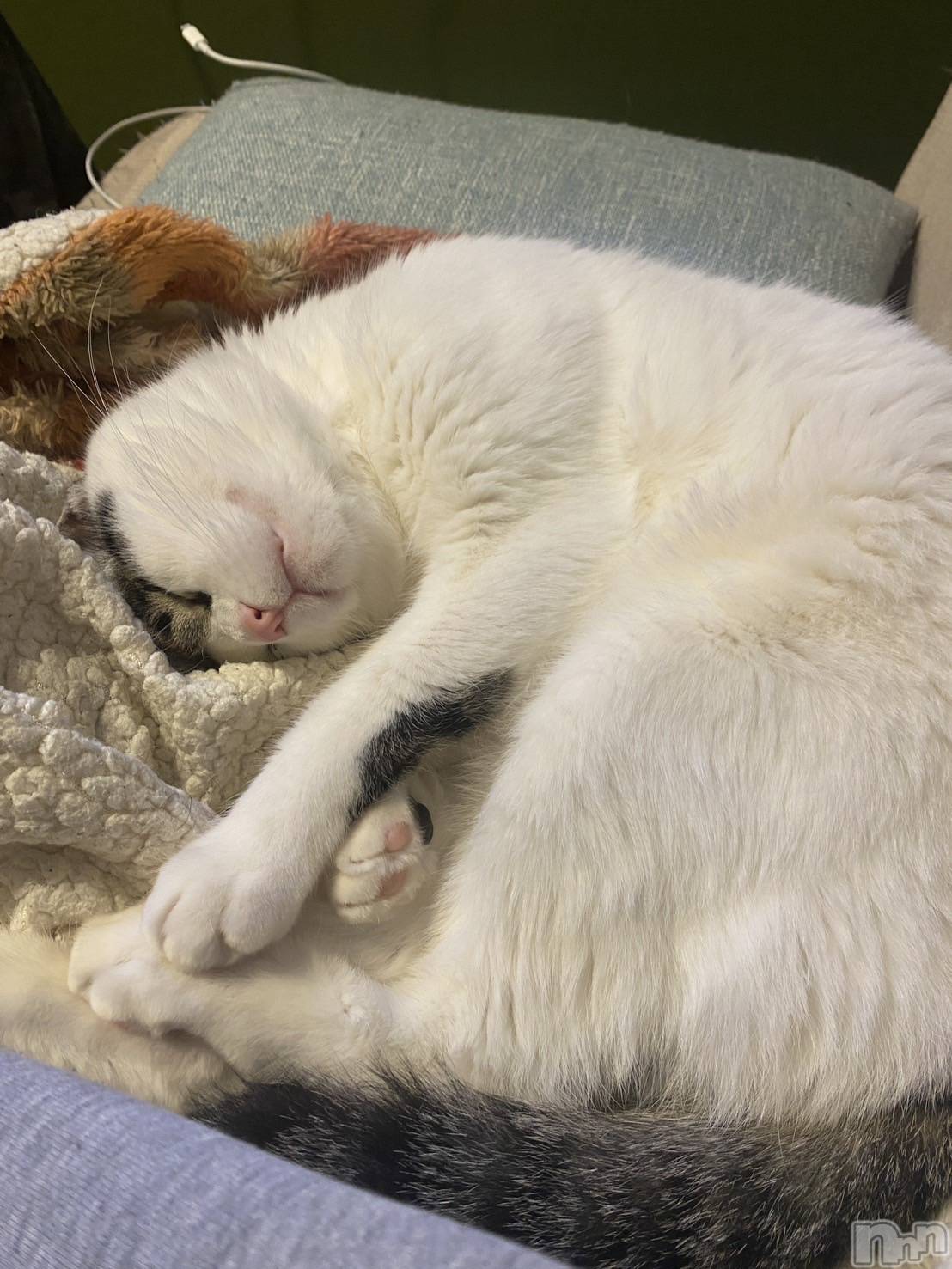 ���ܱ�������Х��顦�����K-LOUNGE(�����饦��) ��2026ǯ1��3���̥�֥����֤��ˤ���