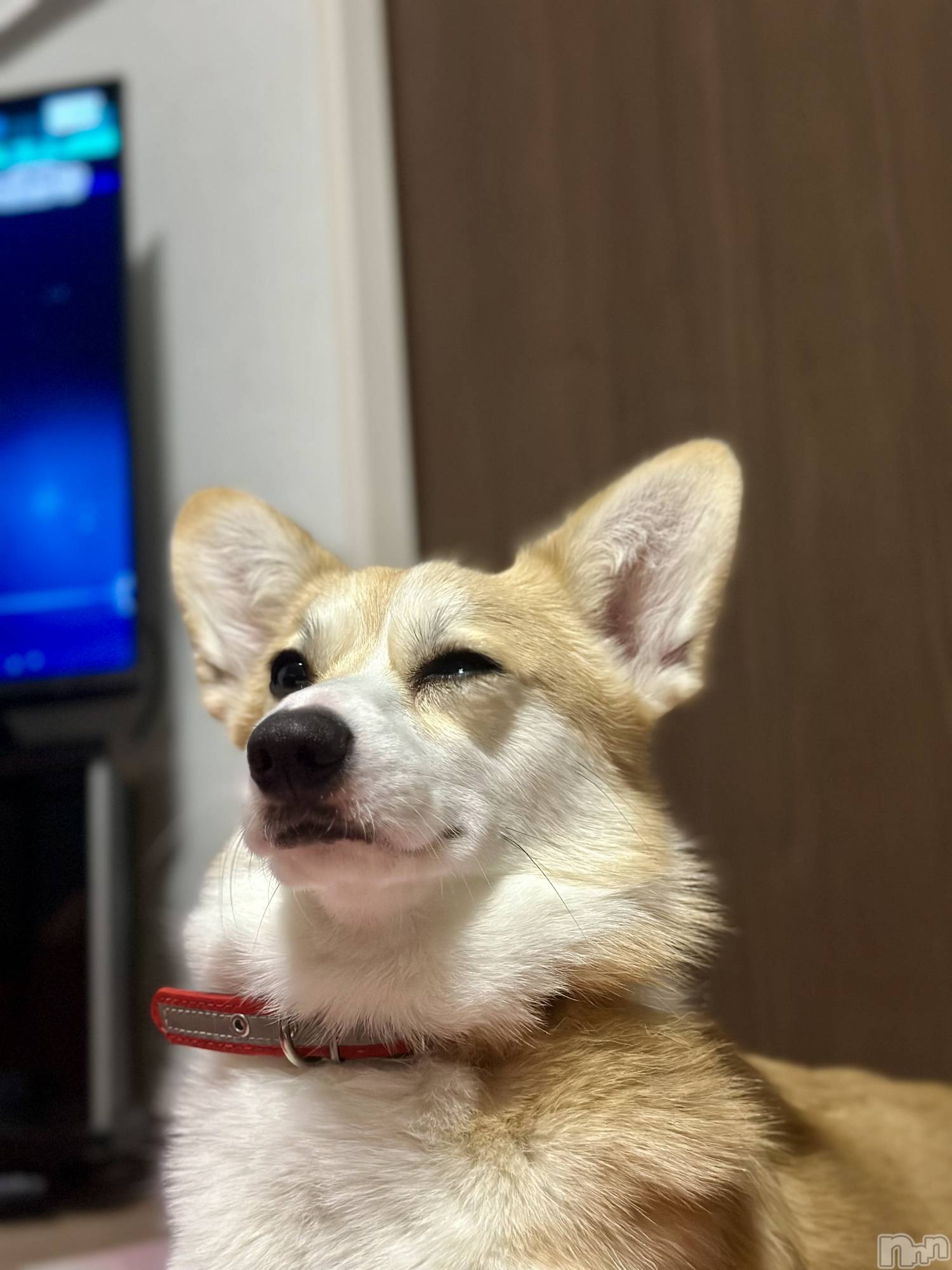 ���ܱ�������Х��顦�����K-LOUNGE(�����饦��) ��2026ǯ1��3���̥�֥����֤Ѥ��á�