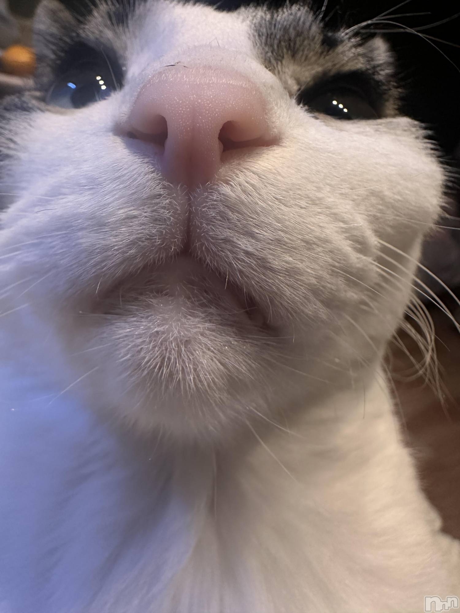 ���ܱ�������Х��顦�����K-LOUNGE(�����饦��) ��2026ǯ1��3���̥�֥�����ľ���