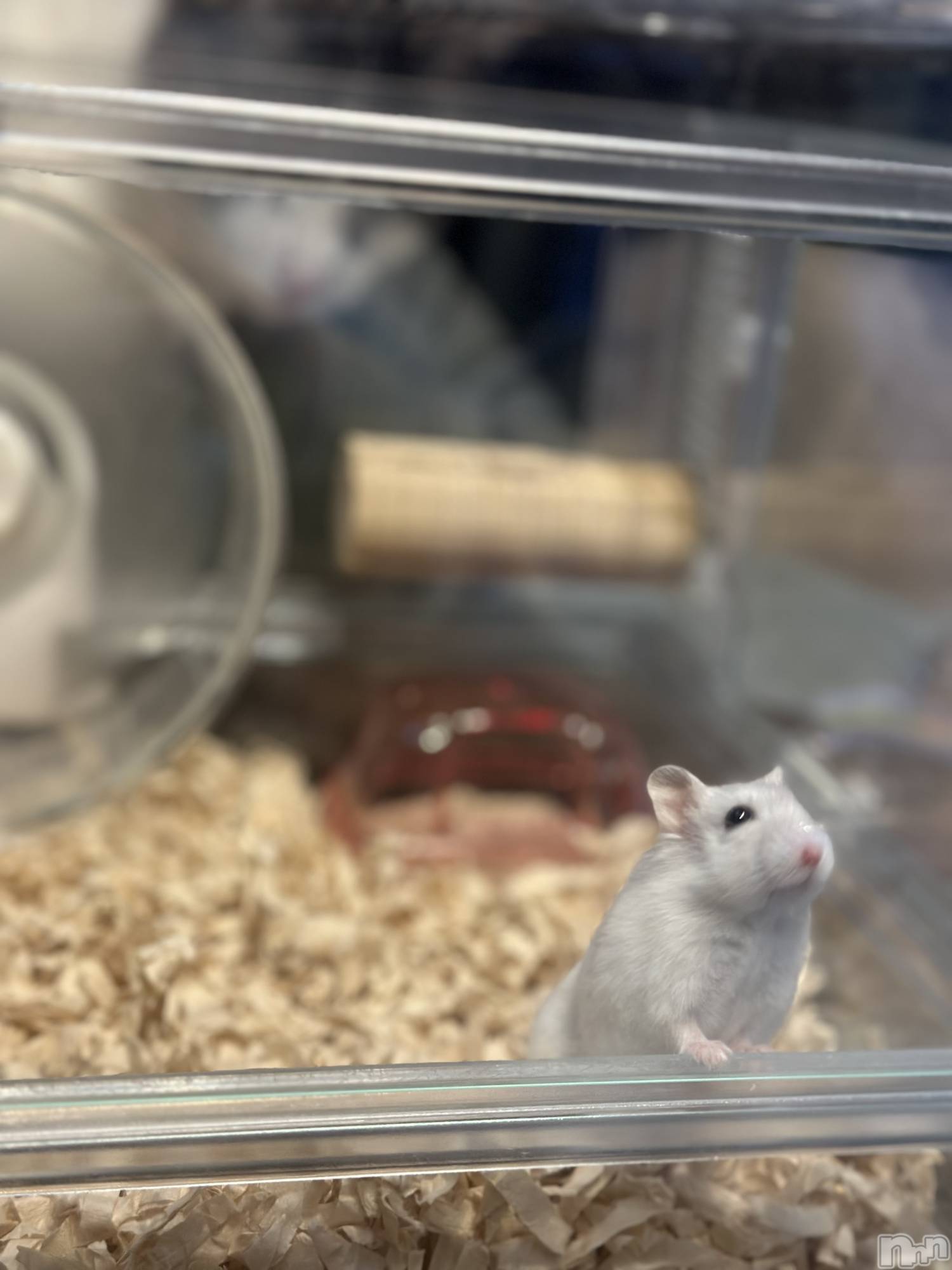 ���ܱ�������Х��顦�����K-LOUNGE(�����饦��) ��2026ǯ1��5���̥�֥����ֲ�²��