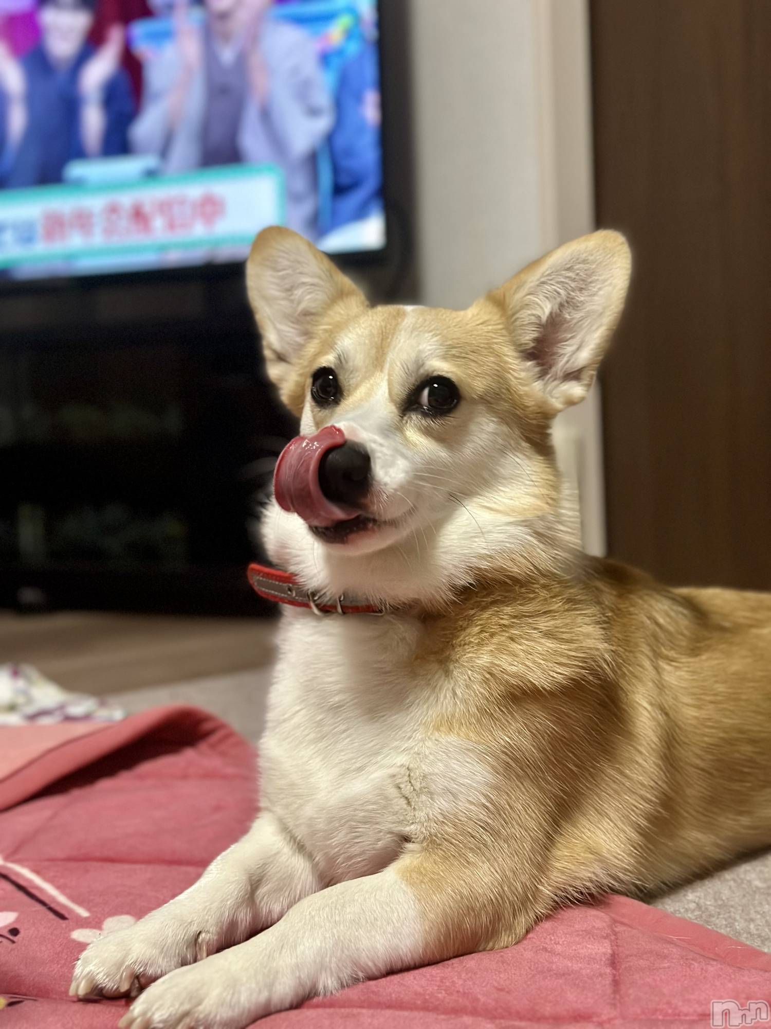 ���ܱ�������Х��顦�����K-LOUNGE(�����饦��) ��2026ǯ1��6���̥�֥����֡ġ�