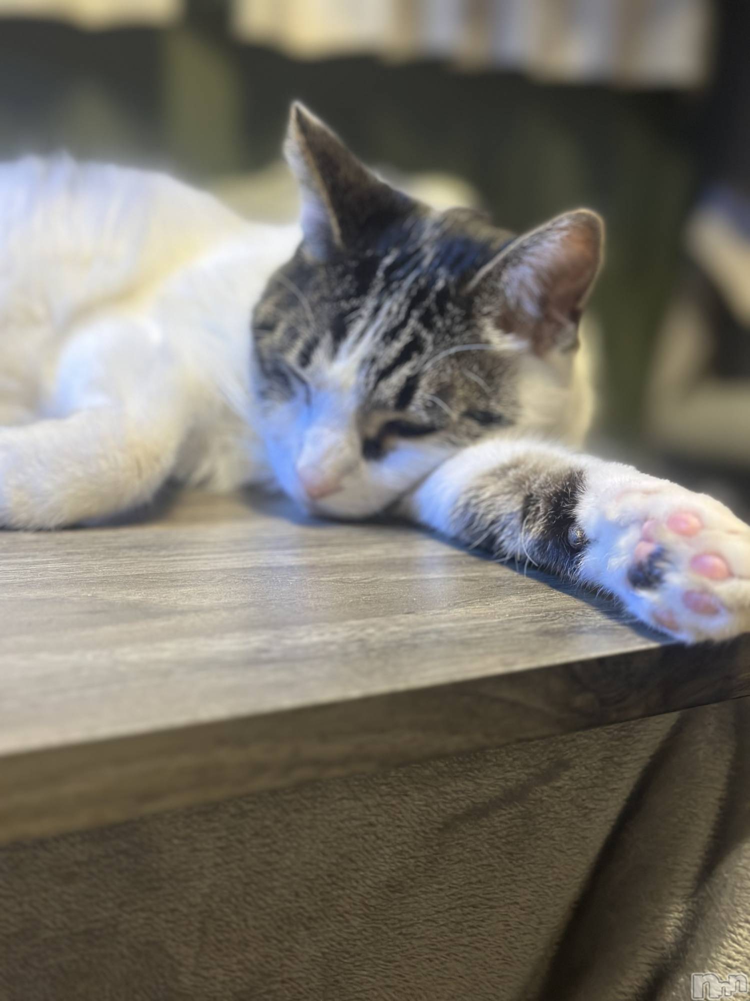 ���ܱ�������Х��顦�����K-LOUNGE(�����饦��) ��2026ǯ1��11���̥�֥�����Ź�����Ǥ�����